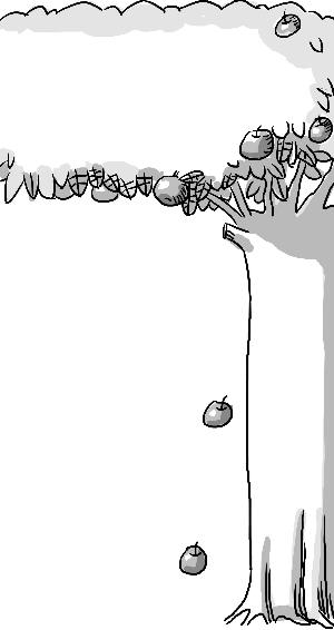 ţٵġƻппѧ